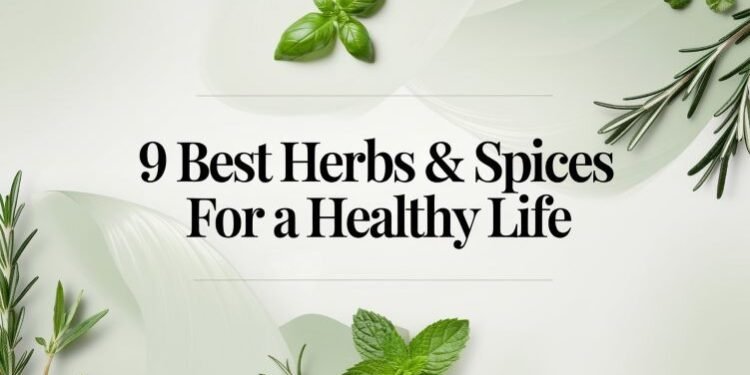 9 Best Herbs & Spices for a Healthy Life