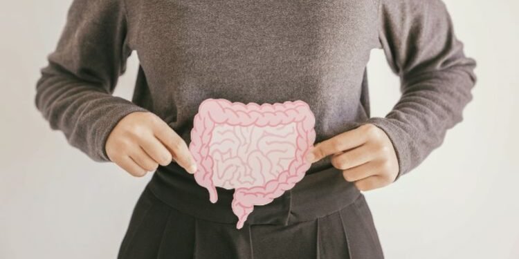 The Power of Gut Health – Why Your Microbiome Matters